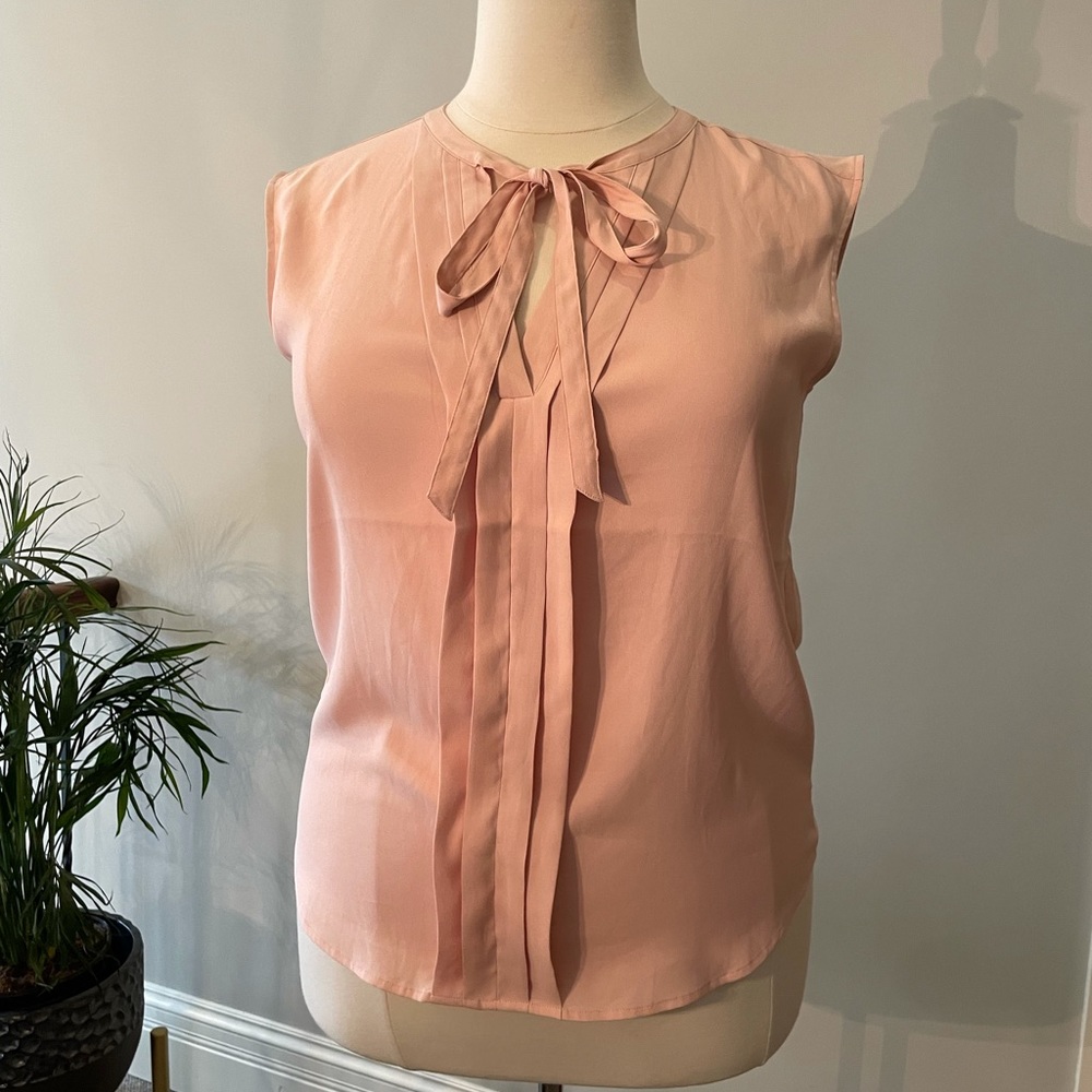 Ann Taylor Pale Peachy Pink Sheer Blouse size Large